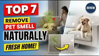 Top 7 Remove Pet Smell Naturally (Exclusive)