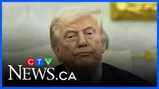 The impact of Trump's trade war on Canada's auto industry