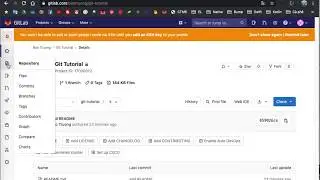 Git push an existing folder with Gitlab | Gitlab #2