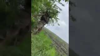 Ukrainian army use of British LMM Martlet MANPADS on Russian Orlan #warzone #war   #ukraine #shorts