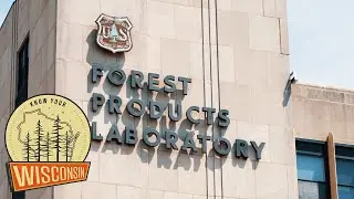 Cellulose Products | Know Your Wisconsin