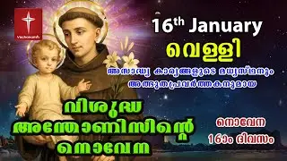 16th January വിശുദ്ധ അന്തോണീസ് നൊവേന | Day 16 St Antony's Novena VachanamTV Live Prayer #stantony