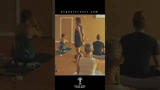 Organic Roots Yoga Studio