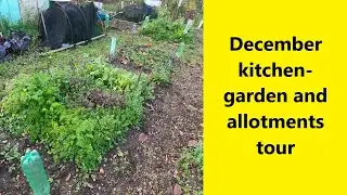December tour of kitchen garden and allotments - UK Allotment (Zone 8)