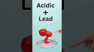 The Myth About Poison Tomatoes
