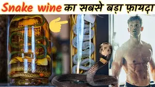 Snake Wine पीने के बाद क्या होता है ? How Snake wine impact on our body