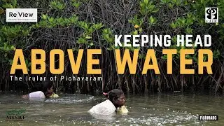 Keeping Head Above Water: The Irular of Pichavaram