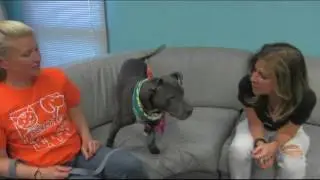 WMTR's Rock N Ruff with Java 050317