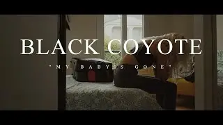 Black Coyote - My Baby's gone