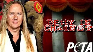 PETA хочет, чтобы ALICE IN CHAINS сменили название... (временно)