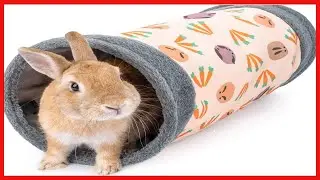 Niteangel Guinea Pig Tubes & Tunnels for Dwarf Rabbits Bunny Guinea Pigs and Other Small Animals
