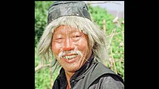 Drunken Monkey in the Tiger's Eyes (1978) | His perseverance made him a kung fu master🥋👊💥