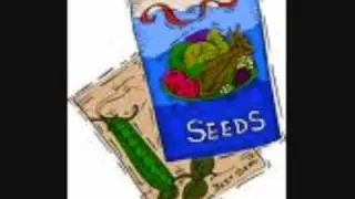 Every Day Is Earth Day: BMV