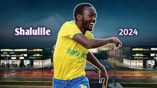 كل ما قدمه الناميبي بيتر شالوليلي مهاجم صنداونز 2024 | اهداف ومهارات Peter Shalulile Sundowns