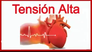 Hipertensi&oacute;n Arterial - Tensi&oacute;n Alta - HTA❤