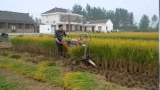 Reaper cum Reaper binder for rice walking type 9721474731 www.omagriculture.com