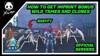 How To Get Imprint Bonus On Wild Dinos Or Clone Dinos | ARK: Survival Ascended