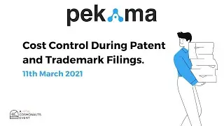 Cost Control During Patent and Trademark Filings PEKAMA