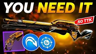 A Scout Rifle With A .50s TTK ... What Could Go Wrong? ( Timeworn Wayfarer )