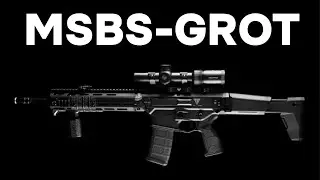 EL FUSIL DEL EJERCITO POLACO  (MSBS GROT)