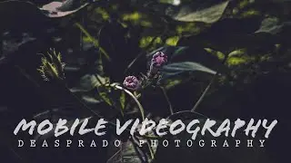 Intro The nature - cinematic explore video | oppo Reno 5 pro #cinamatography  #cinematic #explore