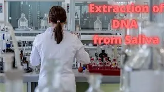 Want to see your own DNA? | Extraction of DNA from Saliva | DIY Science Experiment | Biotechnology
