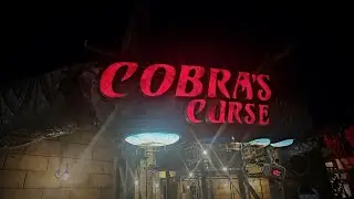 Cobra&rsquo;s Curse Night Ride POV | Busch Gardens Tampa Bay