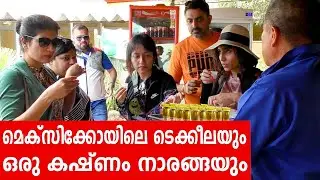 Sancharam | Mexico 10 | Santhosh George Kulangara | Safari TV