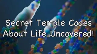 Unlocking Ancient Secrets: The Hidden Code of Life, Growth & Relationships