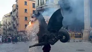 La V&iacute;bria de Barcelona  - 13a trobada biennal de gegants a Solsona