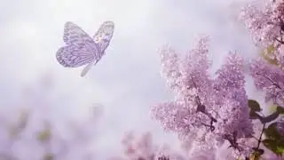 Beautiful Relaxing Music- Stress Relief Music,ositive Energy, Morning Music, #Maidistetion music vdo