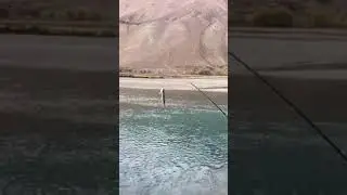 Trout fish🐟🐟phander valley gilgit baltistan GB..