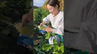 Radish cutting skills eating so fresh with rural farming life #reels #yummy #2024 #radish #shorts
