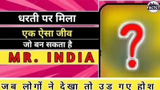 ऐसा जानवर जो बन सकता है MR. INDIA | FactCT