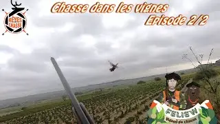 Ouverture de la chasse dans les vignes, chasse au perdreau, faisan et lièvres avec mon père 2/2