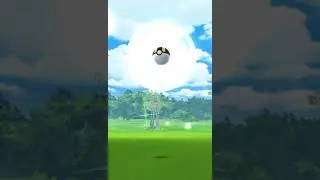 Was it caught? Or will it flee?