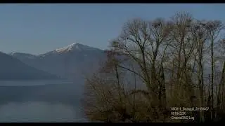 Aerial drone stock video bird island 6k 000011_Brueggli_20180407