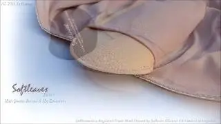 Softleaves B600 High Quality Buttock and Hip Enhancers  Complete Set Padded Panties and Pads