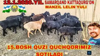 TEZ KURIG 15.BOSH QUZI QUCHQORIMIZ SOTILADI DEHQONDAN