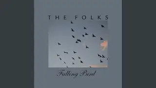 Falling Bird
