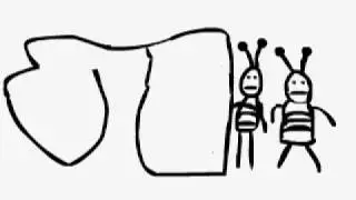 Beetle Animation