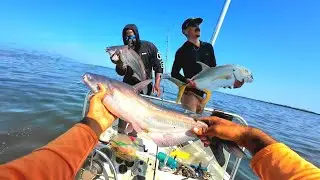 Blue Cats Take Over Lake Pontchartrain + Jack Crevalle