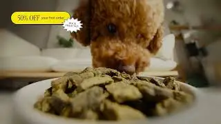 This is the Sound of Your Dog Aging Backwards
