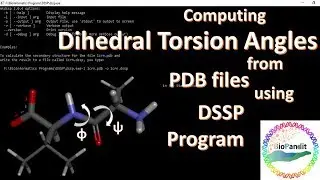 Computing dihedral torsion angles from PDB files using DSSP