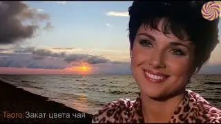 💖 ЗАКАТ ЦВЕТА ЧАЯ - НОВАЯ ПЕСНЯ 2025 🎵