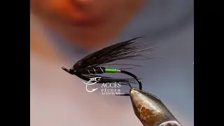 Black bear green butt - par Joelle Dumont