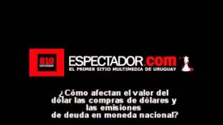 El valor del d&oacute;lar las compras de d&oacute;lares y las emisiones de deuda en moneda nacional  360p