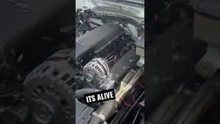 81 C10 5.3 turbo terminator X max