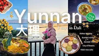 Halal Travel Guide: Yunnan 🇨🇳 | Exploring Dali Ancient Town, Xizhou Mosque, Erhai Lake & Halal Food🕌