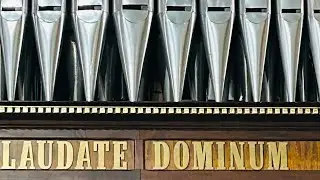 J.S. Bach: Fantasia e Fuga in Do min. BWV 537 - organista sanden